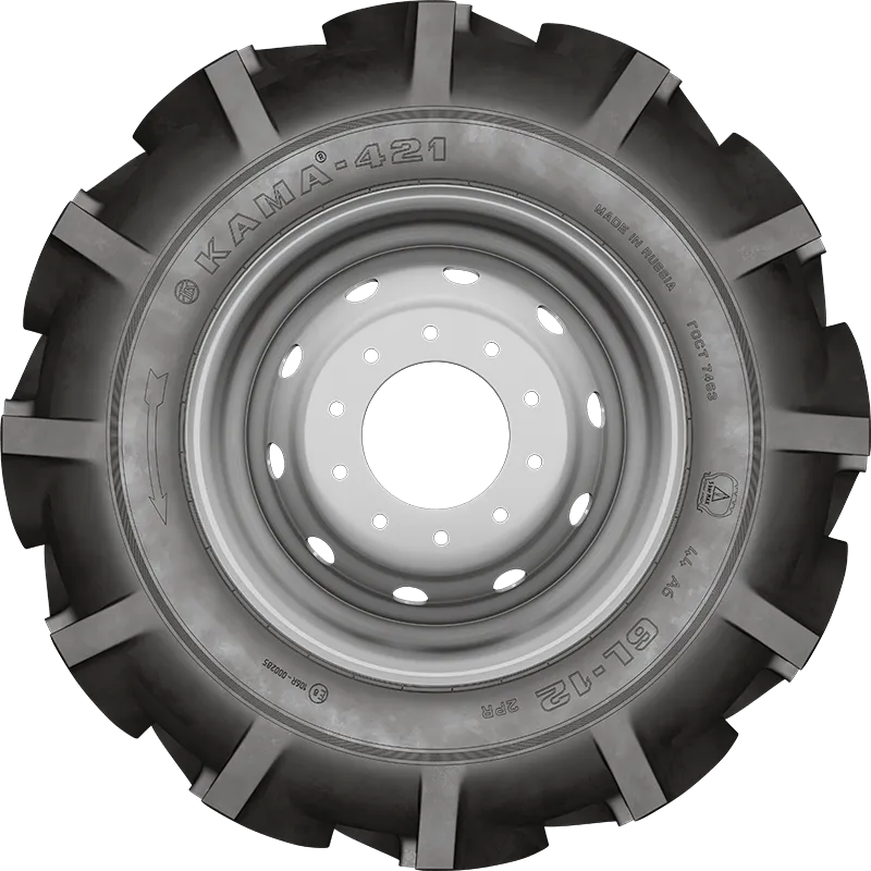 KAMA-421 в Онеге — KAMA TYRES KAMA-421 в Онеге