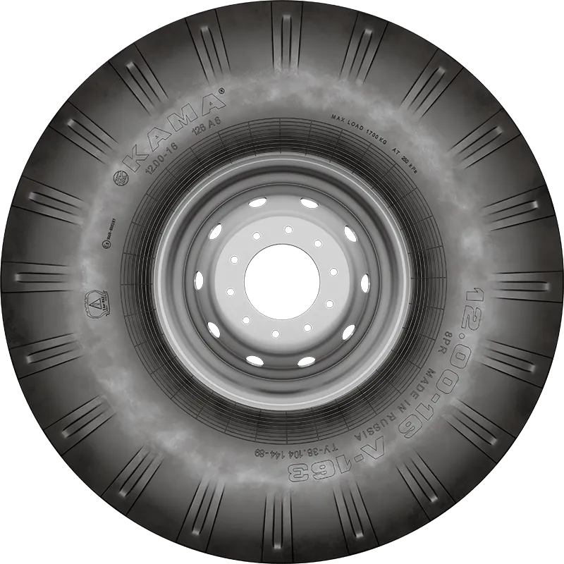 Л-163 в Онеге — KAMA TYRES Л-163 в Онеге